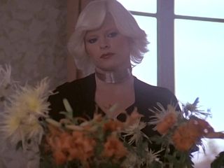 Gorgeous Brigitte Lahaie in Vintage Porn Movie