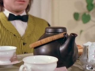 Hot pornstars in vintage adult movie