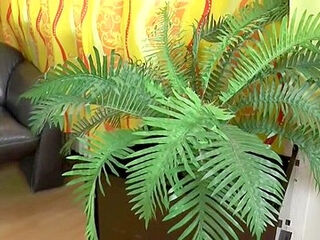 Lana Vegas - Ralles Bumsburo