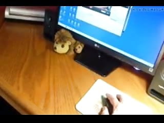 Whorish sue palmer gets off live on web cam
