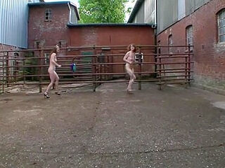 Bdsm-insider - Kapitel 5