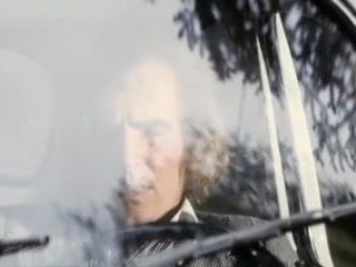 Die teuflischen Schwestern 1977