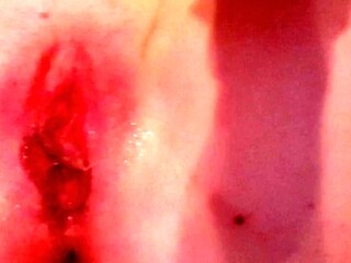 'Hot Mess! Showing my fucked pussy to hubby when i get home.'