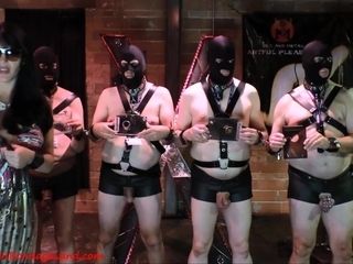 CBT Contest Ball Crushing FEMDOM porn clip