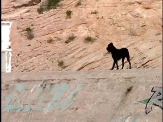 deutsch retro filme amateure die echten fuckfest vor der Kamera