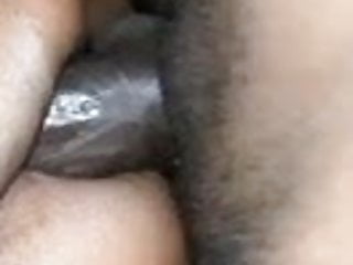 Sri lankan anal